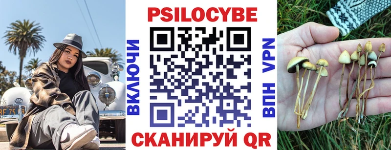 Купить закладки  Спасск  Галлюциногенные грибы мицелий 